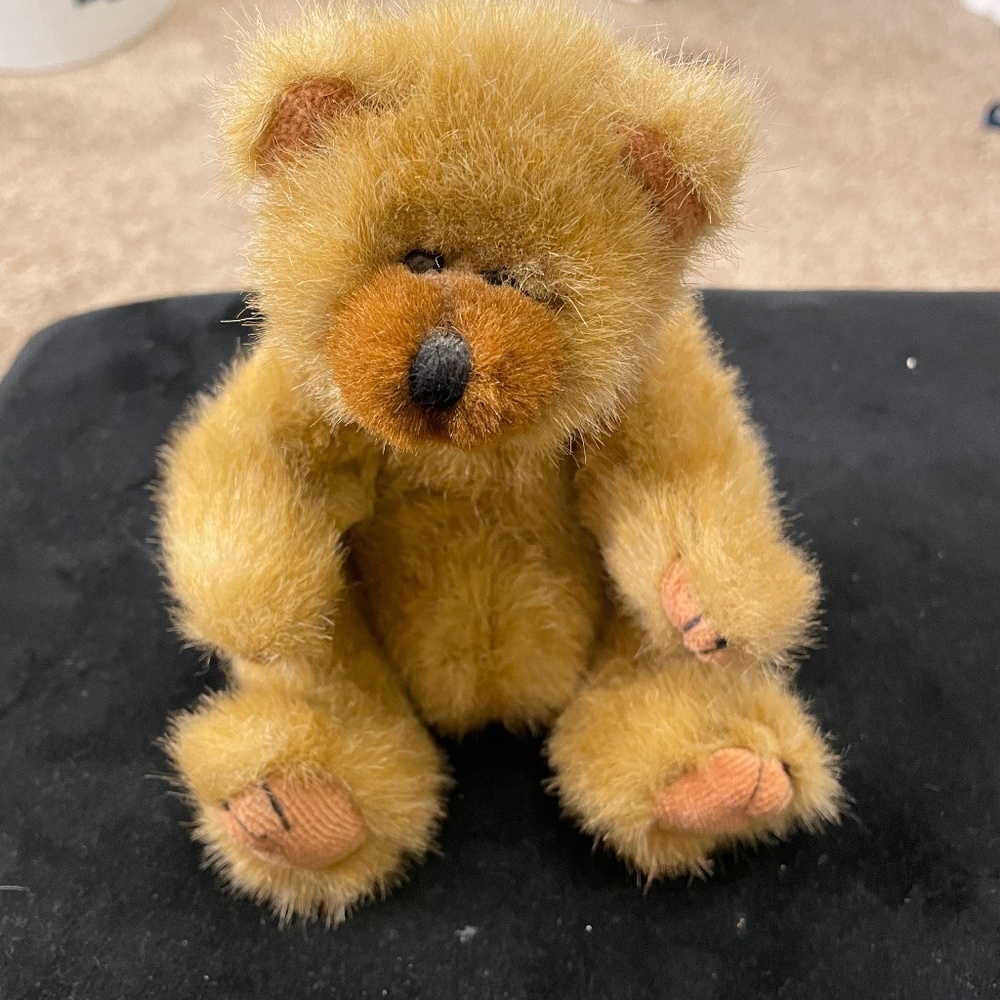 TY 9 inch Soft Bear (Bundle 3 for $10)